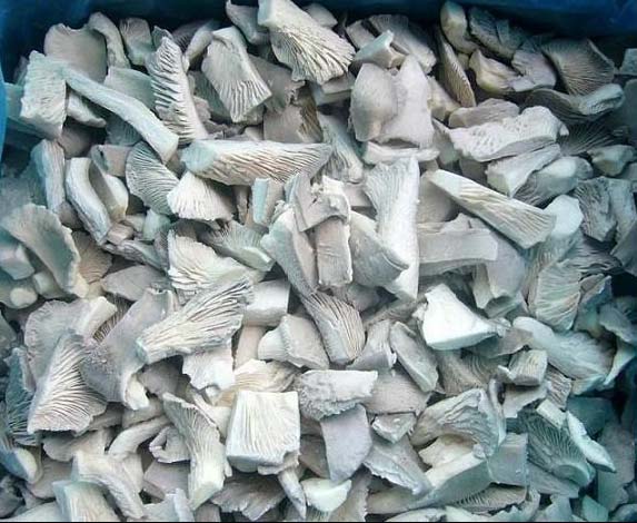 IQF OYSTER MUSHROOM